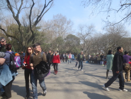 f:id:sumita-m:20160209123043j:image