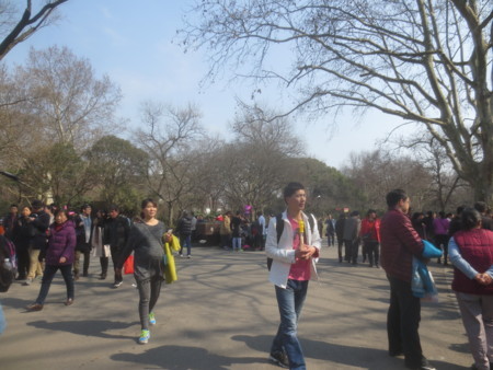 f:id:sumita-m:20160209123055j:image