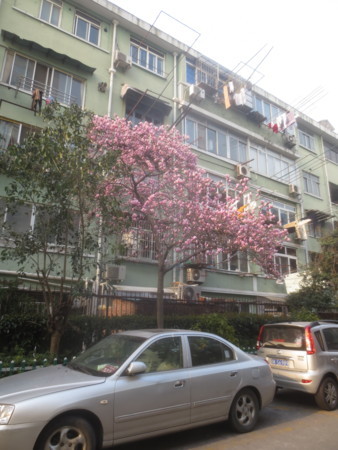 f:id:sumita-m:20160311154135j:image f:id:sumita-m:20160311154135j:image