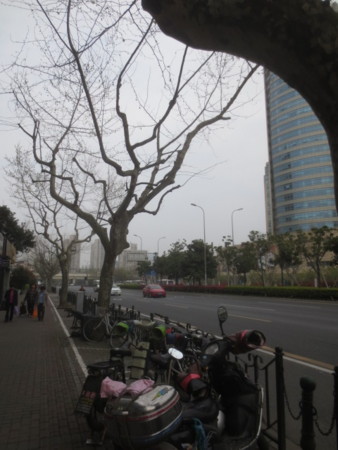 f:id:sumita-m:20160402091202j:image f:id:sumita-m:20160402091202j:image