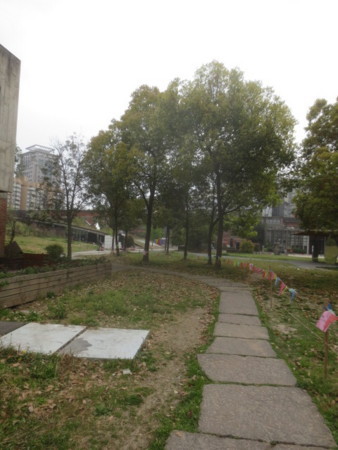 f:id:sumita-m:20160402123940j:image