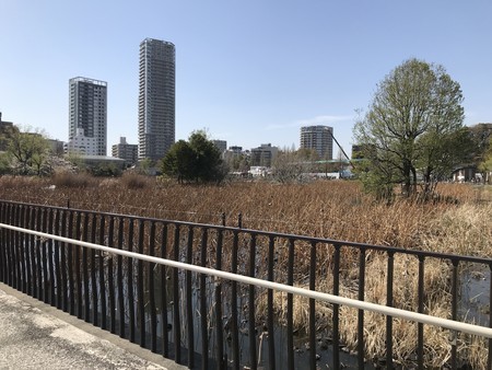 f:id:sumita-m:20190405142738j:image