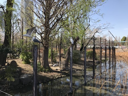 f:id:sumita-m:20190405143049j:image