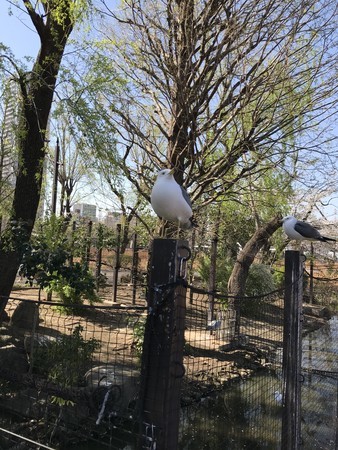 f:id:sumita-m:20190405143055j:image