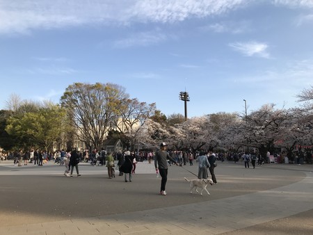 f:id:sumita-m:20190405170455j:image f:id:sumita-m:20190405170455j:image