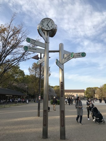 f:id:sumita-m:20190405170520j:image f:id:sumita-m:20190405170520j:image