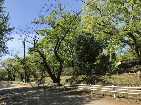 f:id:sumita-m:20190428135439j:image