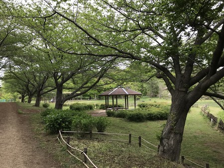 f:id:sumita-m:20190429143208j:image