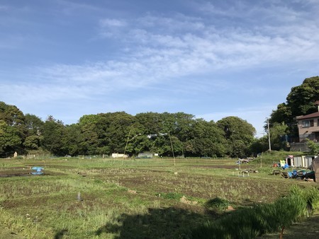 f:id:sumita-m:20190502155109j:image f:id:sumita-m:20190502155109j:image