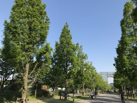 f:id:sumita-m:20190511161531j:image f:id:sumita-m:20190511161531j:image