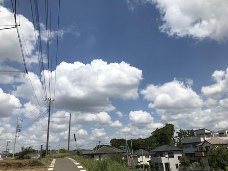 f:id:sumita-m:20190517095735j:image f:id:sumita-m:20190517095735j:image