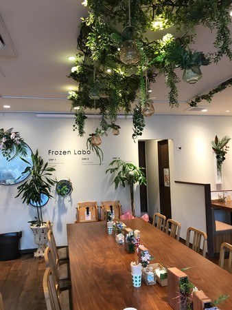 f:id:sumita-m:20190627141940j:image f:id:sumita-m:20190627141940j:image