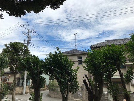 f:id:sumita-m:20190719125415j:image f:id:sumita-m:20190719125415j:image