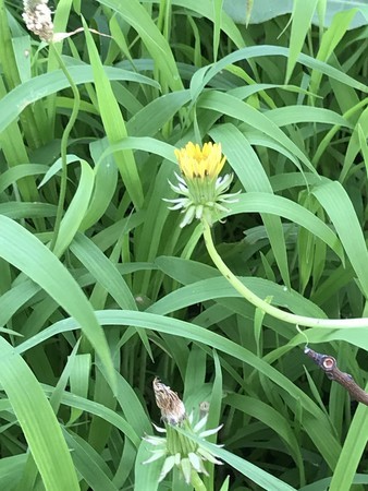 f:id:sumita-m:20190724174112j:image