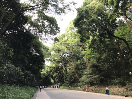 f:id:sumita-m:20190726153733j:image f:id:sumita-m:20190726153733j:image
