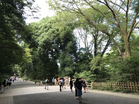 f:id:sumita-m:20190726153941j:image f:id:sumita-m:20190726153941j:image