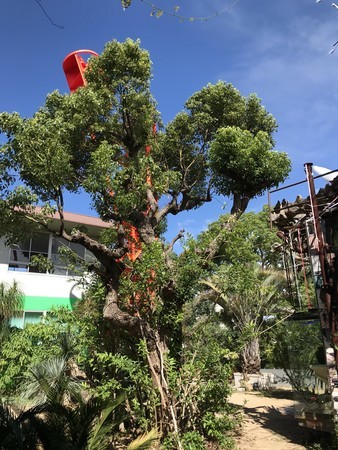 f:id:sumita-m:20190805144801j:image f:id:sumita-m:20190805144801j:image