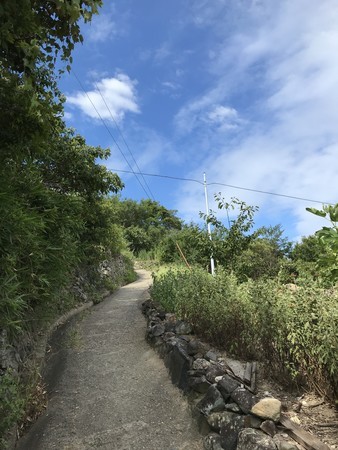 f:id:sumita-m:20190805152103j:image