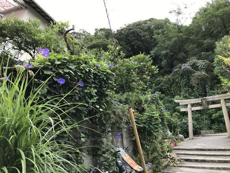 f:id:sumita-m:20190806101746j:image