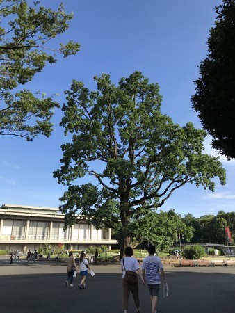 f:id:sumita-m:20190812162243j:image