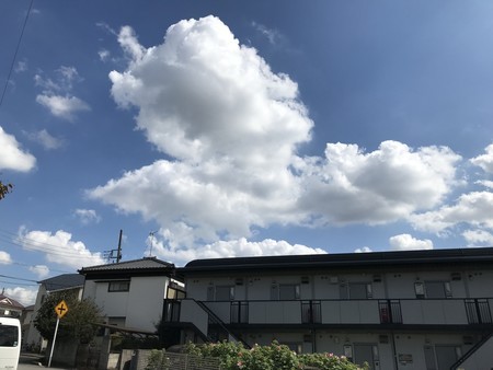 f:id:sumita-m:20190920131644j:image