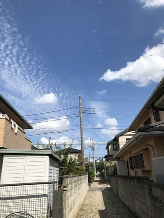 f:id:sumita-m:20190920132411j:image