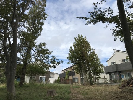 f:id:sumita-m:20190929122757j:image