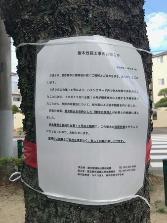 f:id:sumita-m:20191010133806j:image