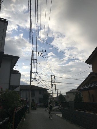 f:id:sumita-m:20191113075928j:image f:id:sumita-m:20191113075928j:image