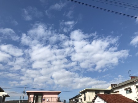 f:id:sumita-m:20191201111314j:image f:id:sumita-m:20191201111314j:image