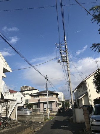 f:id:sumita-m:20191201111339j:image f:id:sumita-m:20191201111339j:image