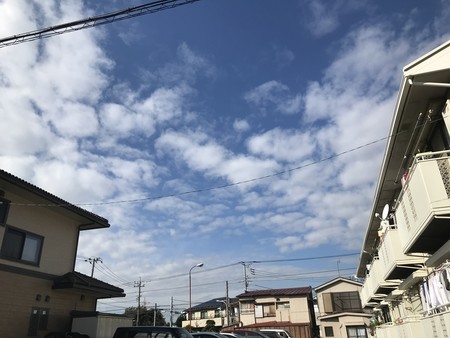 f:id:sumita-m:20191201111343j:image f:id:sumita-m:20191201111343j:image