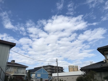 f:id:sumita-m:20191201111727j:image f:id:sumita-m:20191201111727j:image