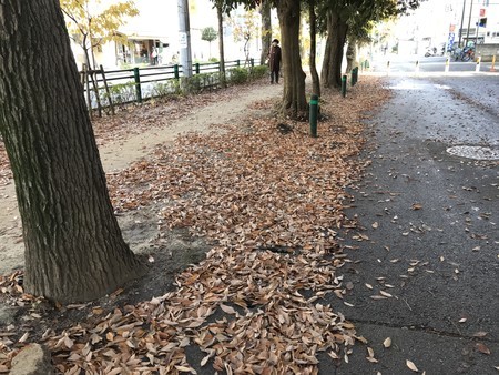 f:id:sumita-m:20191210124307j:image