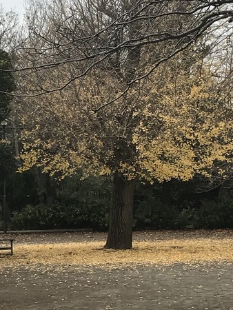 f:id:sumita-m:20191210144607j:image