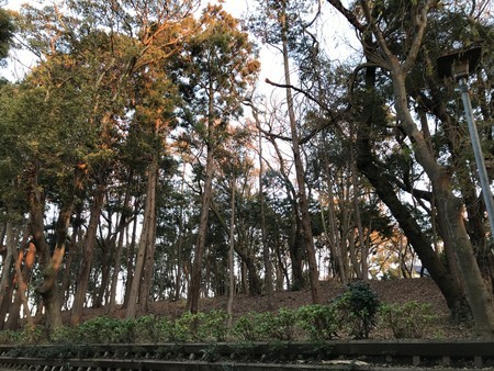f:id:sumita-m:20191212160618j:image