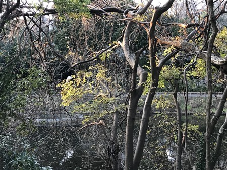 f:id:sumita-m:20191212160733j:image