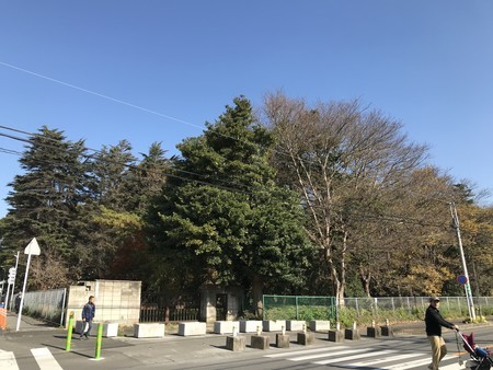f:id:sumita-m:20191214112938j:image