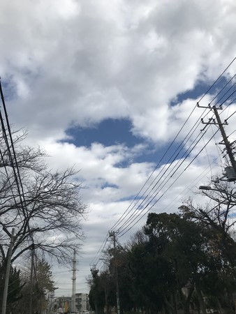 f:id:sumita-m:20191218113419j:image