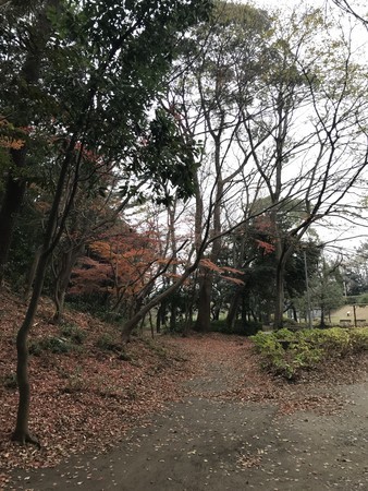 f:id:sumita-m:20191222131919j:image