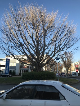 f:id:sumita-m:20200101152332j:image