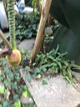 f:id:sumita-m:20200113161446j:image