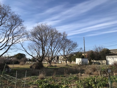 f:id:sumita-m:20200202152232j:image