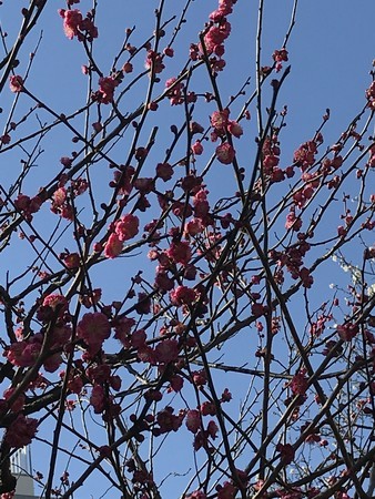 f:id:sumita-m:20200208100113j:image