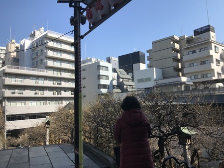 f:id:sumita-m:20200208102412j:image