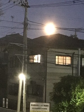 f:id:sumita-m:20200209174743j:image