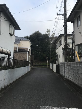 f:id:sumita-m:20200309164100j:image