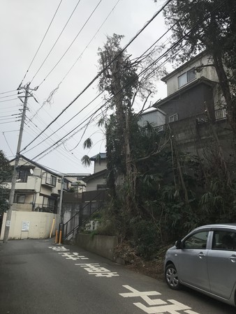 f:id:sumita-m:20200309164550j:image