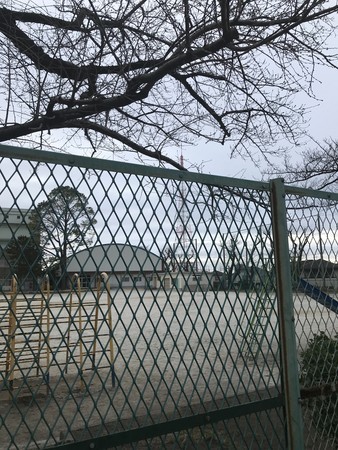 f:id:sumita-m:20200309165106j:image