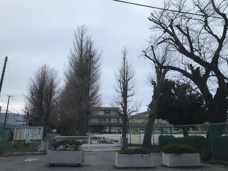 f:id:sumita-m:20200309165213j:image